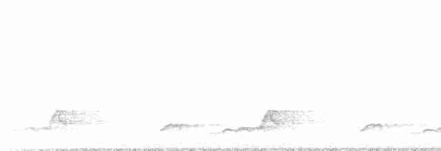 Schwarzkehl-Nachtschwalbe - ML593613061