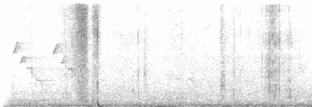 Ошейниковая нектарница - ML593650131