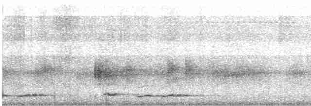 Желтоклювый саблеклюв - ML593652181