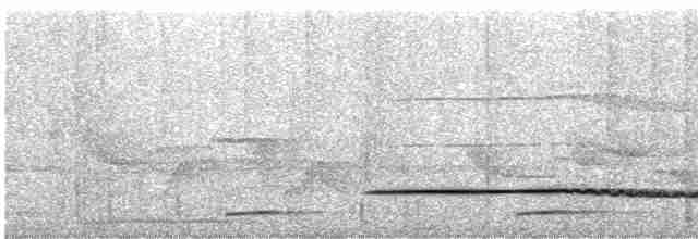 Little Tinamou - ML593684101