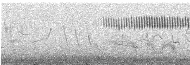 矛斑蝗鶯 - ML593686061