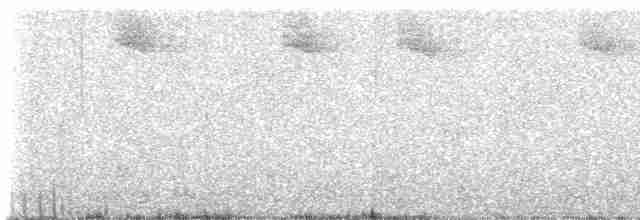 gråfluesnapper - ML593692421