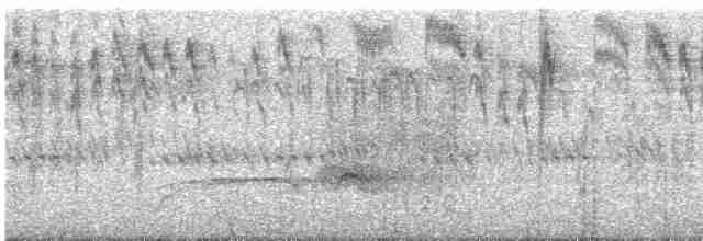 Белокрылая канделита - ML593724771