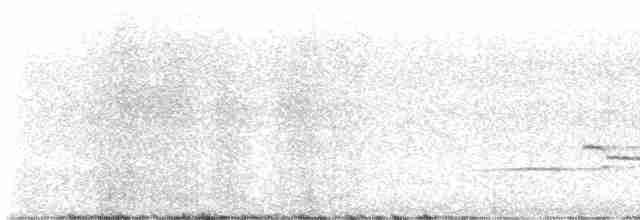 Hermit Thrush (faxoni/crymophilus) - ML593776981