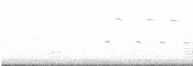 裏海燕鷗 - ML593777501