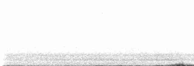 Gray Catbird - ML593804811