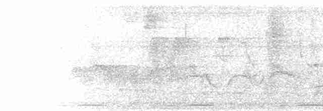 Мухолов-клинодзьоб сірий - ML593807311