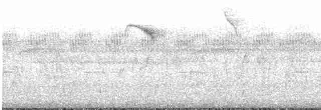 Azure-shouldered Tanager - ML593807791