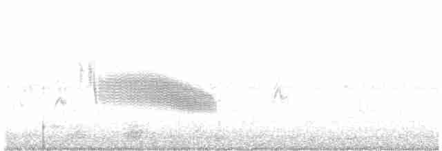 European Greenfinch - ML593816111