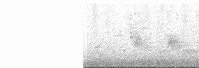 Geniş Gagalı Kolibri - ML593832541