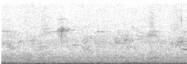 Цинантус синьогорлий - ML593834121