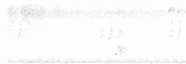 Al Gagalı Çinbülbülü - ML593844891