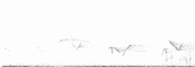 Черноголовый толстонос - ML593851511