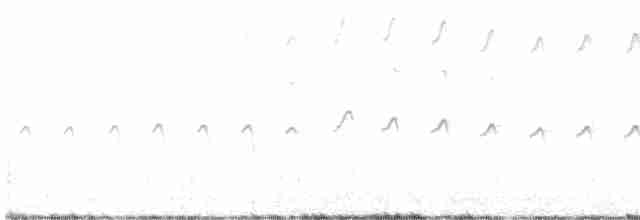 strakapoud americký [skupina harrisi] - ML593857571