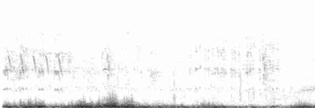 Dreifarbenstärling - ML593862831