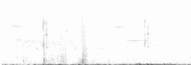 Гіла рожевочерева - ML593867511