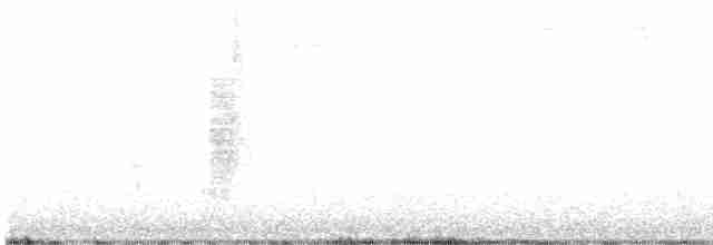 Bewick Çıtkuşu [spilurus grubu] - ML593868881