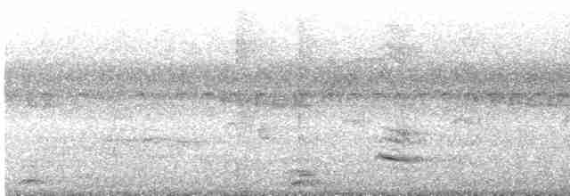 Белогузый колибри - ML593870011
