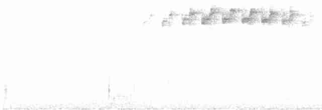 svarthetteparula - ML593878821