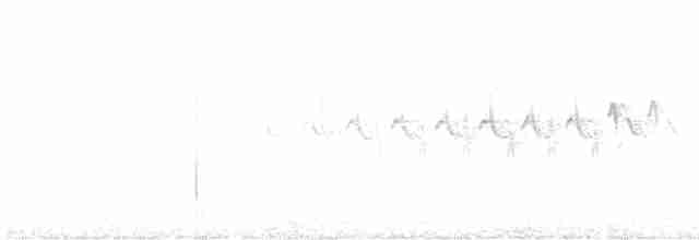 Миртовый певун (coronata) - ML593878891