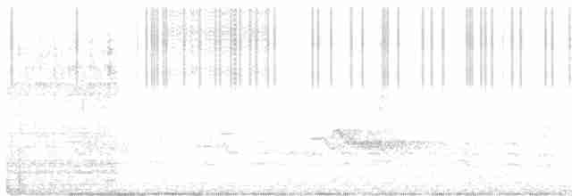 lesňáček modropláštíkový - ML593891551