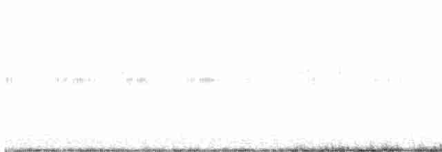 Winternachtschwalbe - ML593893781
