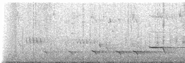 Fan-tailed Cuckoo - ML593894871