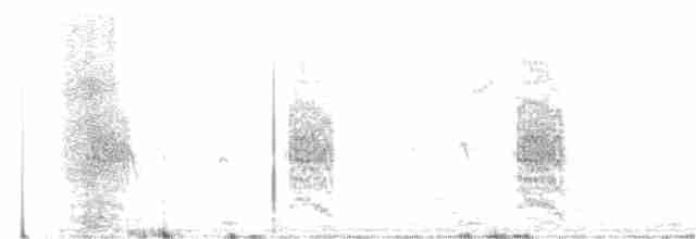 Белокрылая крачка - ML593897411
