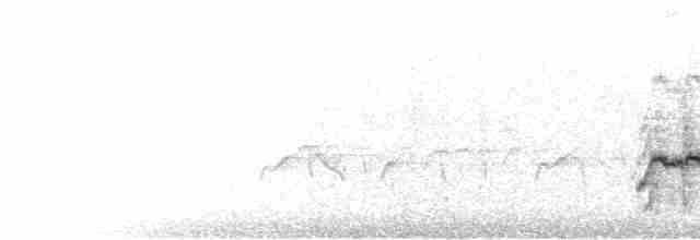 Синьохвіст білобровий - ML593900571