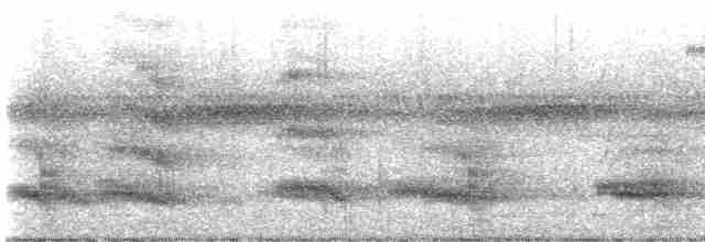 Toucan vitellin (ariel) - ML593930221