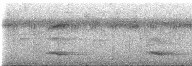 tukan volavý (ssp. ariel) - ML593934821