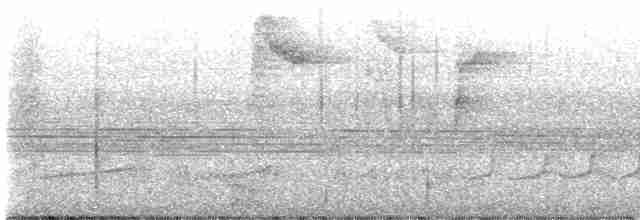 Тиран-крихітка світлогорлий - ML593968351