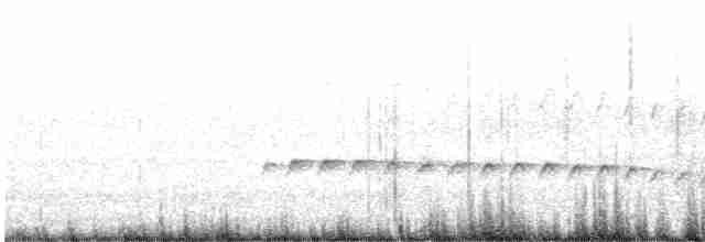 Rostrücken-Ameisenvogel - ML593968381