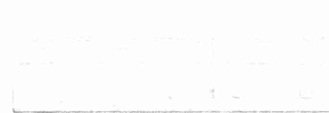 Tinamou de Bartlett - ML593980281