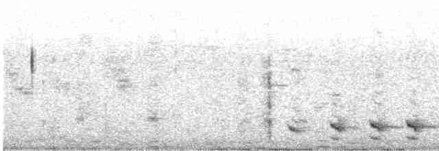 Bar-crested Antshrike - ML593981281