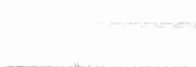 Gray-mantled Wren - ML593985431