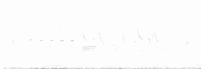 Büyük Çil Yelvesi - ML593999391