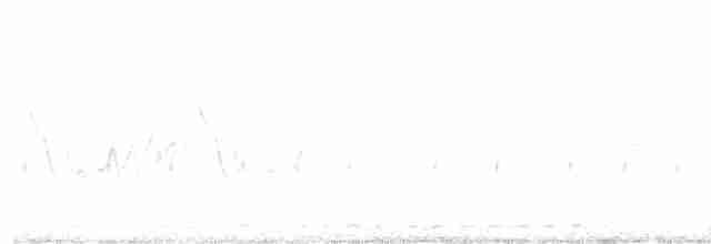 Büyük Çil Yelvesi - ML593999411