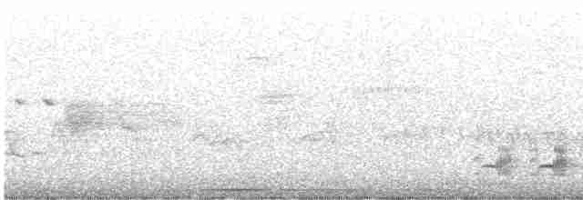 brunkinnskogtrost (ustulatus gr.) - ML594010881