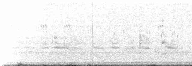 Forster's Tern - ML594024821
