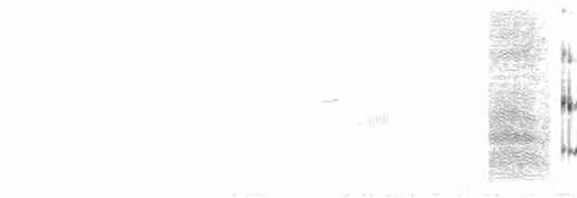střízlík bažinný [skupina palustris] - ML594030171