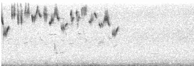Çekirge Sesli Çayır Serçesi - ML594054961