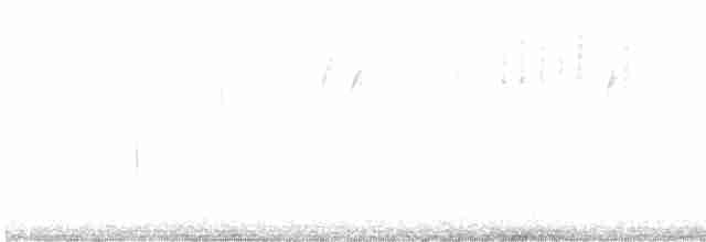 Каролинский крапивник - ML594062471
