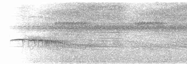 Тиранчик-тонкодзьоб південний - ML594105751