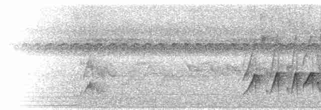 Тиран-крихітка темноголовий - ML594105861