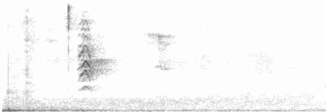 白胸燕鵙 - ML594113921