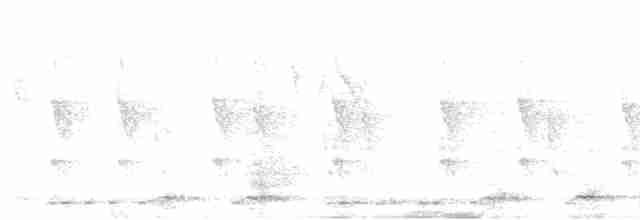White-breasted Waterhen - ML594115071