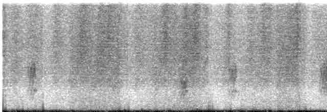 灰頭椋鳥 - ML594136061