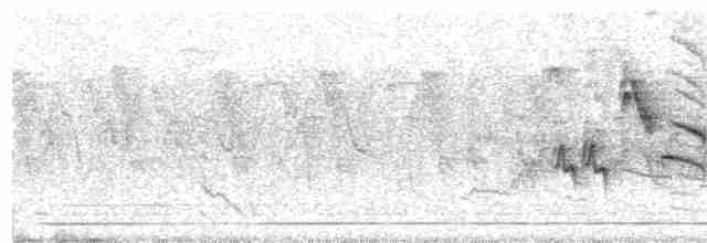 Желтогорлая овсянка - ML594137341