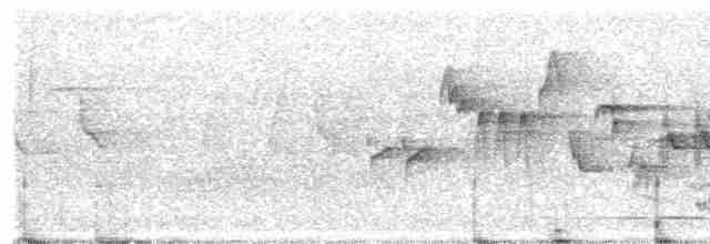 Желтогорлая овсянка - ML594137351